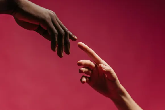 Simple Cazino Cazinou Suport